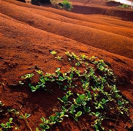 《不要尖叫》增强多人版公布 创意禁声恐怖冒险